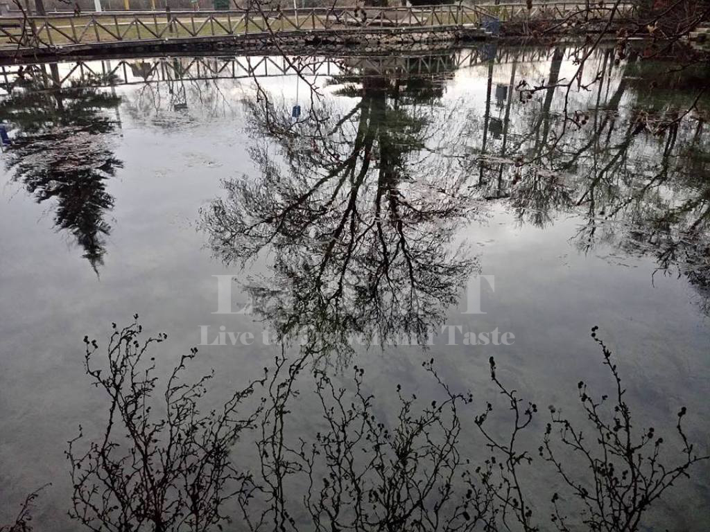 Γευστικές περιπλανήσεις σε δύο κορυφαία εστιατόρια των Σερρών: «Kάππαρη» και&nbsp;«Μπακάλικο»!