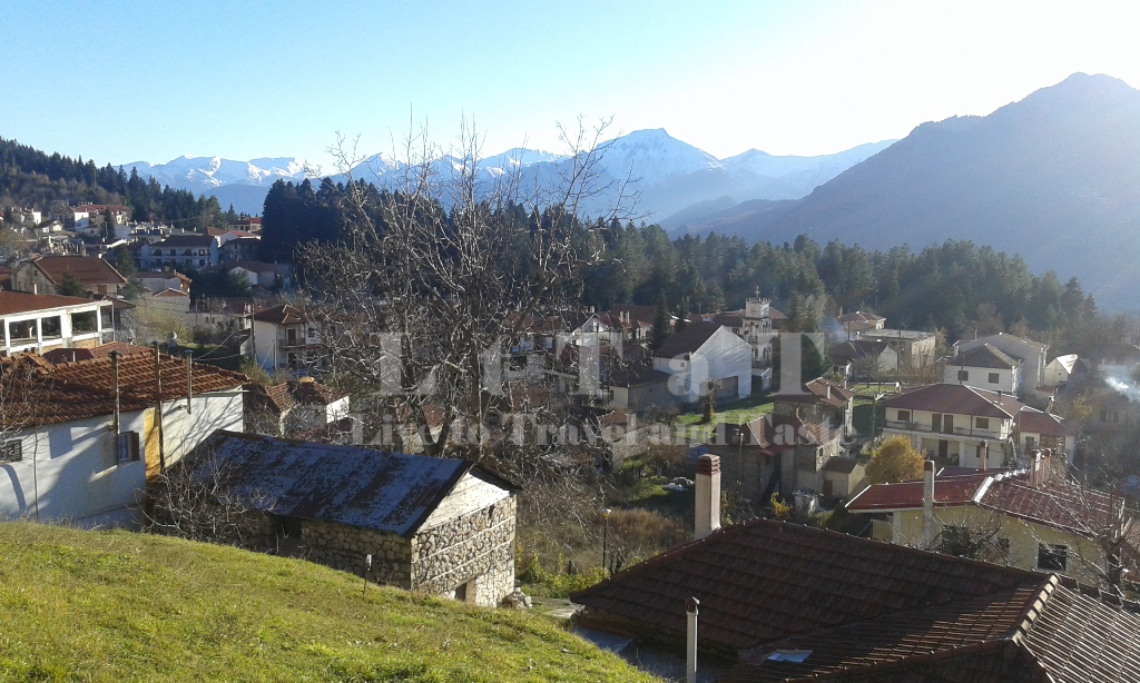 «Ω! Ελάτη μου, ω! Ελάτη μου, μ’ αρέσεις πώς μ’&nbsp;αρέσεις!»